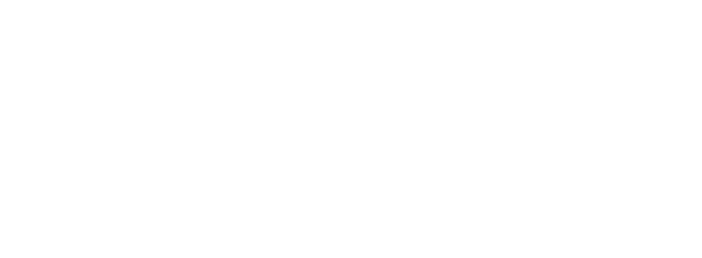 PhoenixTS