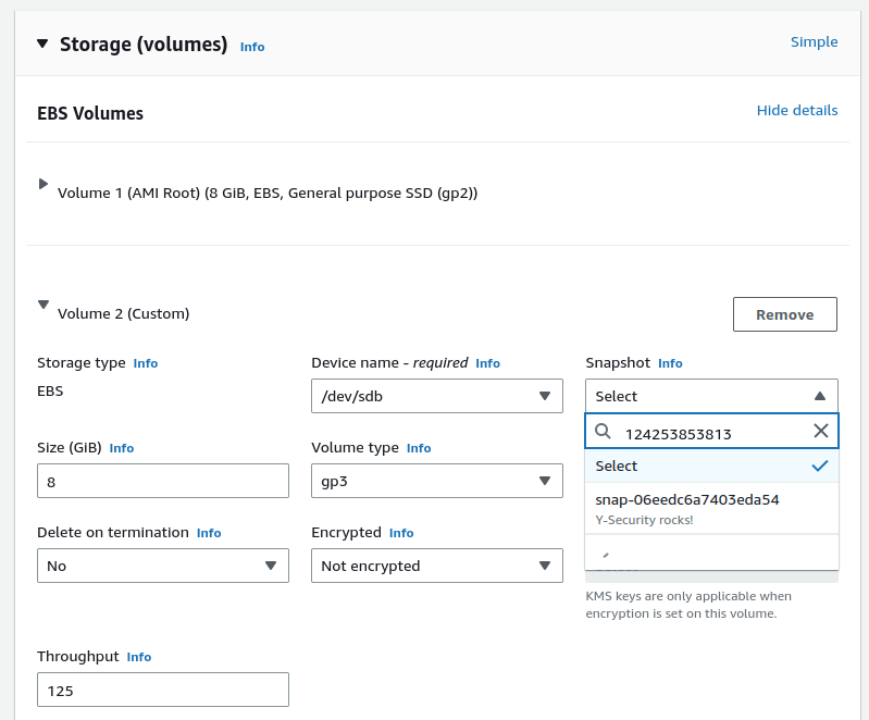 aws pentesting snapshot